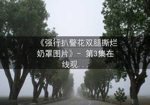 《强行扒警花双腿撕烂奶罩图片》- 第3集在线观看 - 一场正义与黑暗的终极较量