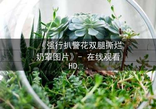 《强行扒警花双腿撕烂奶罩图片》- 在线观看HD中字 - 正义与黑暗的终极对决