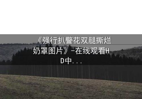 《强行扒警花双腿撕烂奶罩图片》-在线观看HD中字 - 揭开正义背后的惊悚真相