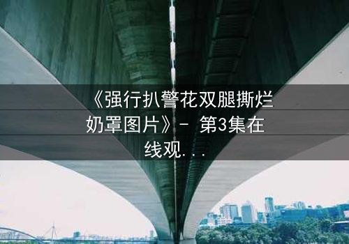 《强行扒警花双腿撕烂奶罩图片》- 第3集在线观看 - 一场正义与黑暗的终极对决