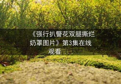 《强行扒警花双腿撕烂奶罩图片》第3集在线观看 - 正义与黑暗的终极对决