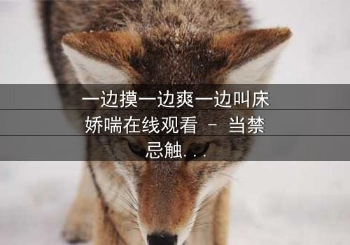 一边摸一边爽一边叫床娇喘在线观看 - 当禁忌触碰引爆极致感官风暴