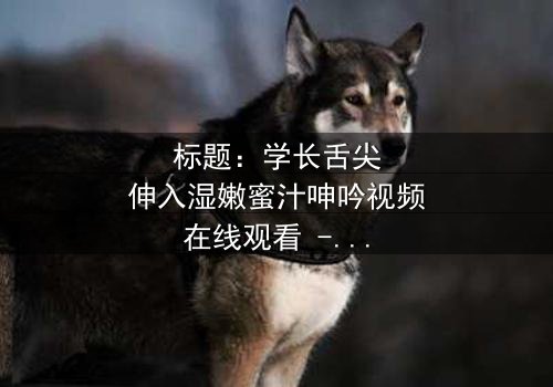 标题:学长舌尖伸入湿嫩蜜汁呻吟视频在线观看 - 完整无删版,揭秘校园禁忌之恋的隐秘角落