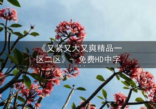《又紧又大又爽精品一区二区》- 免费HD中字 - 完整无删第5集