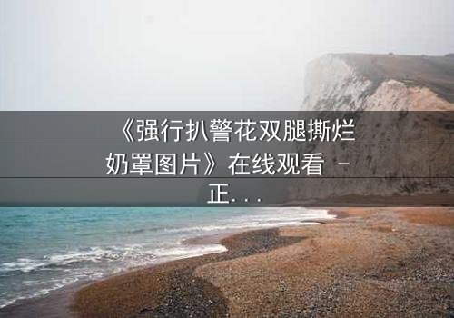 《强行扒警花双腿撕烂奶罩图片》在线观看 - 正义与黑暗的终极对决,你敢直面真相吗?
