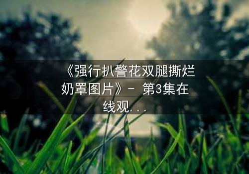 《强行扒警花双腿撕烂奶罩图片》- 第3集在线观看 - 揭开正义背后的黑暗真相