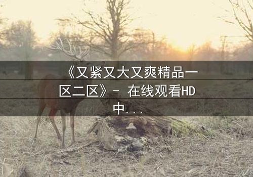 《又紧又大又爽精品一区二区》- 在线观看HD中字 - 第3集完整无删