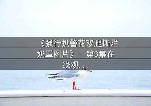 《强行扒警花双腿撕烂奶罩图片》- 第3集在线观看 - 一场正义与邪恶的终极较量