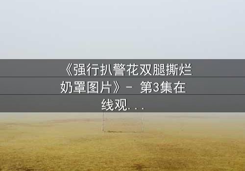 《强行扒警花双腿撕烂奶罩图片》- 第3集在线观看 - 一场正义与黑暗的终极较量