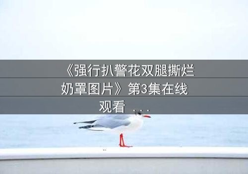 《强行扒警花双腿撕烂奶罩图片》第3集在线观看 - 正义与黑暗的极限对决