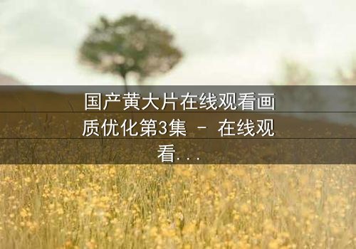 国产黄大片在线观看画质优化第3集 - 在线观看HD中字版 - 一场视觉与情感的极致盛宴