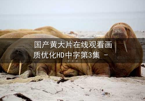 国产黄大片在线观看画质优化HD中字第3集 - 揭秘画质提升背后的隐秘真相