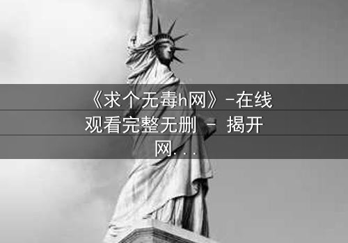 《求个无毒h网》-在线观看完整无删 - 揭开网络迷途的救赎之旅