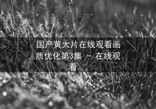 国产黄大片在线观看画质优化第3集 - 在线观看HD中字 - 一场视觉与情感的极致盛宴