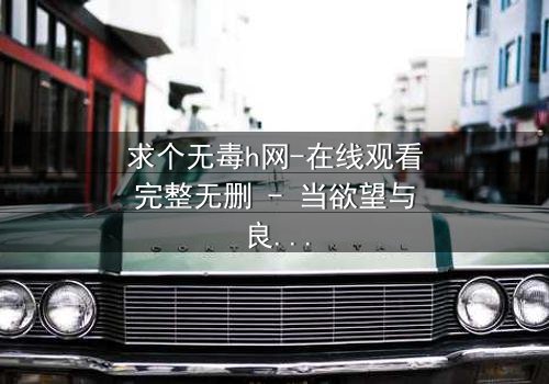 求个无毒h网-在线观看完整无删 - 当欲望与良知在暗网中碰撞