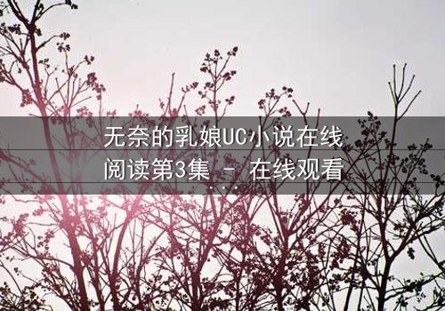无奈的乳娘UC小说在线阅读第3集 - 在线观看 - 禁忌之恋背后的惊天秘密