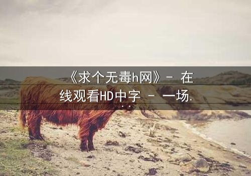 《求个无毒h网》- 在线观看HD中字 - 一场网络迷宫的生存游戏