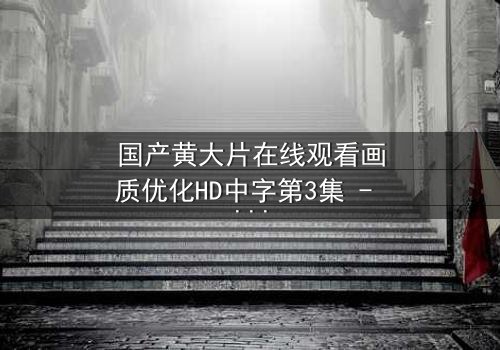 国产黄大片在线观看画质优化HD中字第3集 - 高清画质下的情感风暴