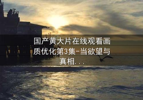 国产黄大片在线观看画质优化第3集-当欲望与真相交织,谁将主宰命运?