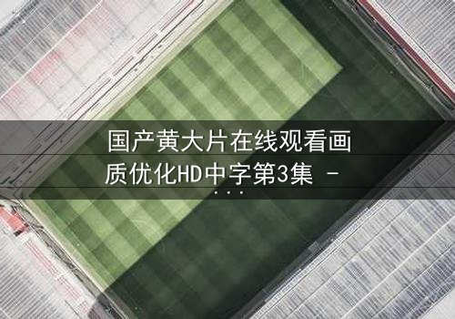 国产黄大片在线观看画质优化HD中字第3集 - 当高清画质遇上禁忌之恋