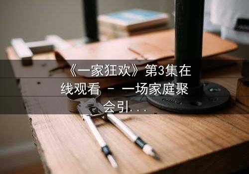 《一家狂欢》第3集在线观看 - 一场家庭聚会引发的致命风暴