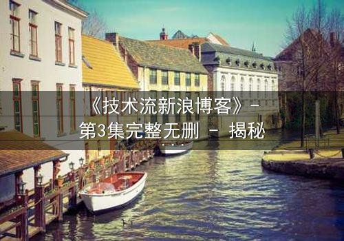 《技术流新浪博客》- 第3集完整无删 - 揭秘代码背后的致命陷阱