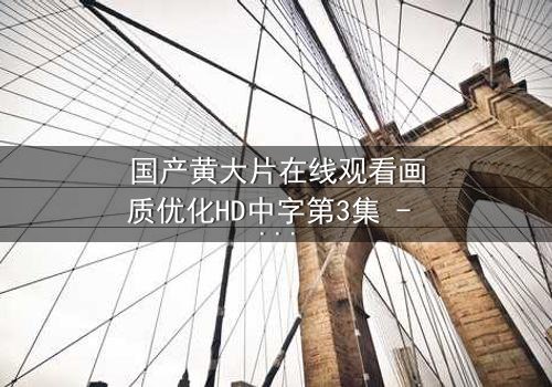 国产黄大片在线观看画质优化HD中字第3集 - 揭秘高清画质背后的情感风暴