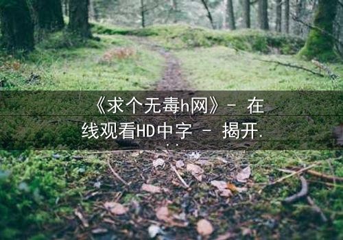 《求个无毒h网》- 在线观看HD中字 - 揭开网络迷途的救赎之路