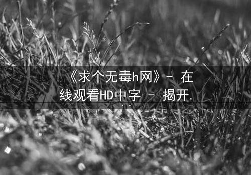 《求个无毒h网》- 在线观看HD中字 - 揭开网络迷雾的终极诱惑