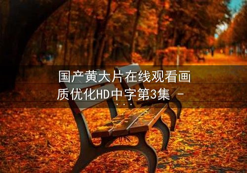 国产黄大片在线观看画质优化HD中字第3集 - 当激情遇上高清,视觉冲击一触即发!