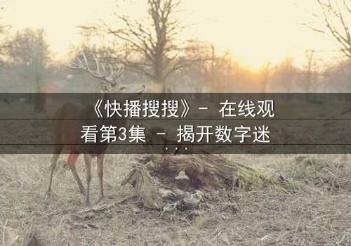 《快播搜搜》- 在线观看第3集 - 揭开数字迷宫的终极秘密