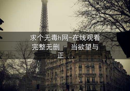 求个无毒h网-在线观看完整无删 - 当欲望与正义碰撞,谁将主宰命运?