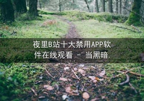 夜里B站十大禁用APP软件在线观看 - 当黑暗APP解锁禁忌,你敢点开吗?