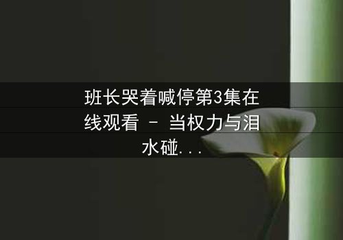 班长哭着喊停第3集在线观看 - 当权力与泪水碰撞,谁将主宰校园命运?