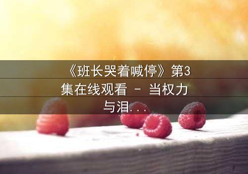 《班长哭着喊停》第3集在线观看 - 当权力与泪水交织的青春风暴