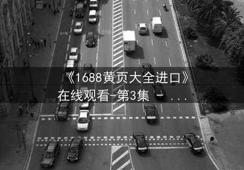 《1688黄页大全进口》在线观看-第3集 - 当秘密交易揭开人性深渊