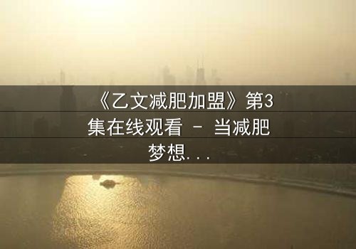 《乙文减肥加盟》第3集在线观看 - 当减肥梦想遭遇加盟陷阱,谁能全身而退?