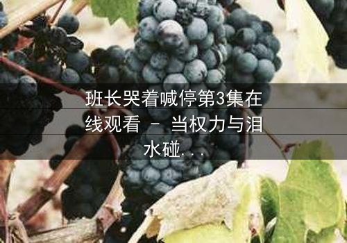 班长哭着喊停第3集在线观看 - 当权力与泪水碰撞,谁将揭开校园的黑暗秘密?