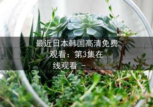 最近日本韩国高清免费观看:第3集在线观看 - 揭开跨国阴谋的终极真相