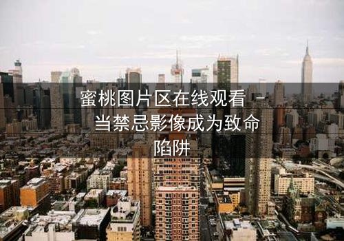 蜜桃图片区在线观看 - 当禁忌影像成为致命陷阱