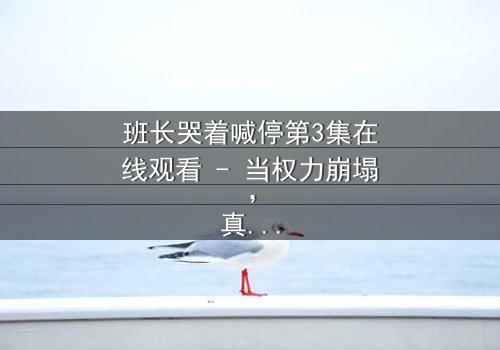 班长哭着喊停第3集在线观看 - 当权力崩塌,真相浮出水面