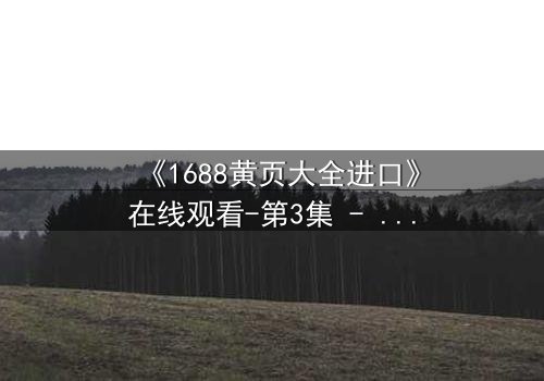 《1688黄页大全进口》在线观看-第3集 - 当秘密黄页揭开跨国阴谋的序幕