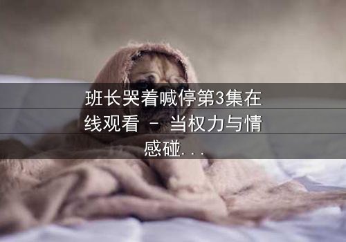 班长哭着喊停第3集在线观看 - 当权力与情感碰撞,谁将喊停?