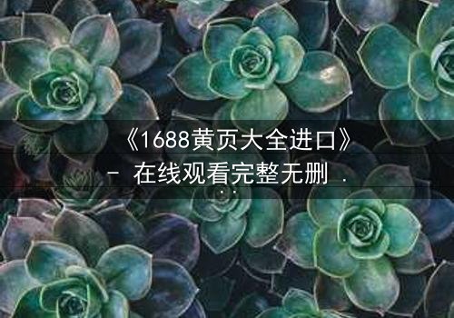 《1688黄页大全进口》- 在线观看完整无删 - 揭开进口贸易的致命陷阱