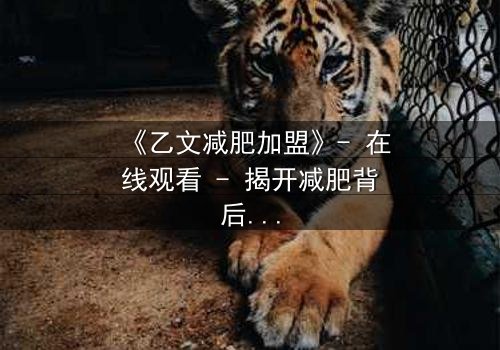 《乙文减肥加盟》- 在线观看 - 揭开减肥背后的惊天秘密