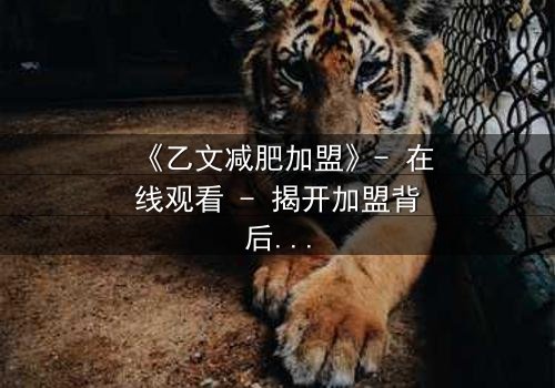 《乙文减肥加盟》- 在线观看 - 揭开加盟背后的致命秘密