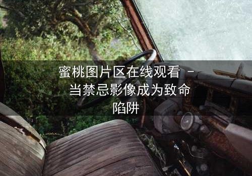 蜜桃图片区在线观看 - 当禁忌影像成为致命陷阱