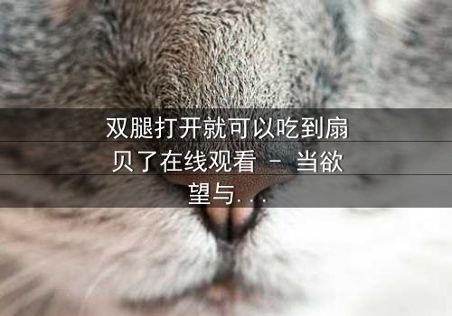 双腿打开就可以吃到扇贝了在线观看 - 当欲望与生存交织,你敢直视真相吗?