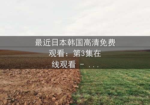 最近日本韩国高清免费观看:第3集在线观看 - 揭开跨国阴谋的终极真相