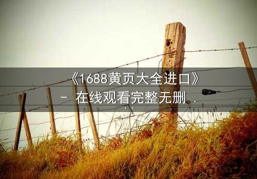 《1688黄页大全进口》- 在线观看完整无删 - 揭开进口贸易背后的致命陷阱